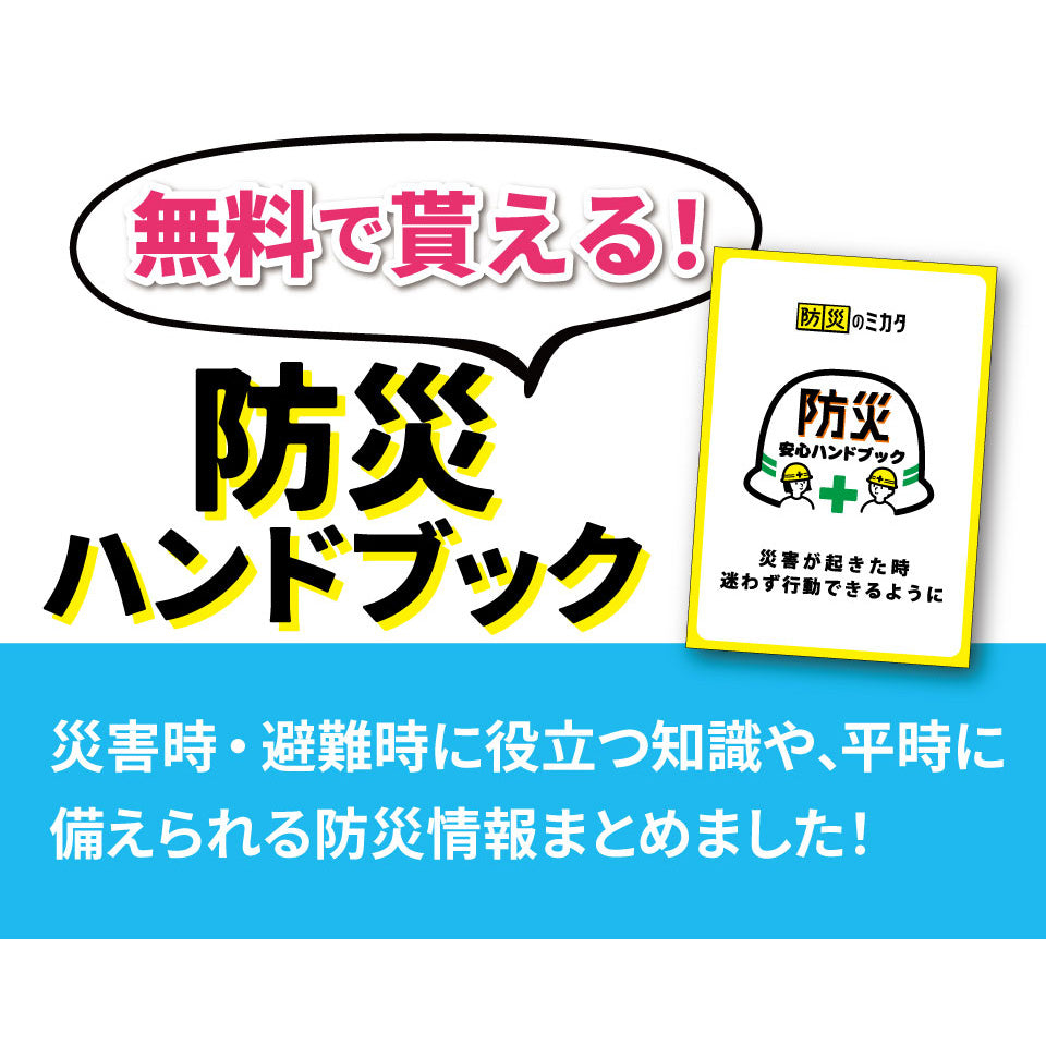 マジックライス 20食セット